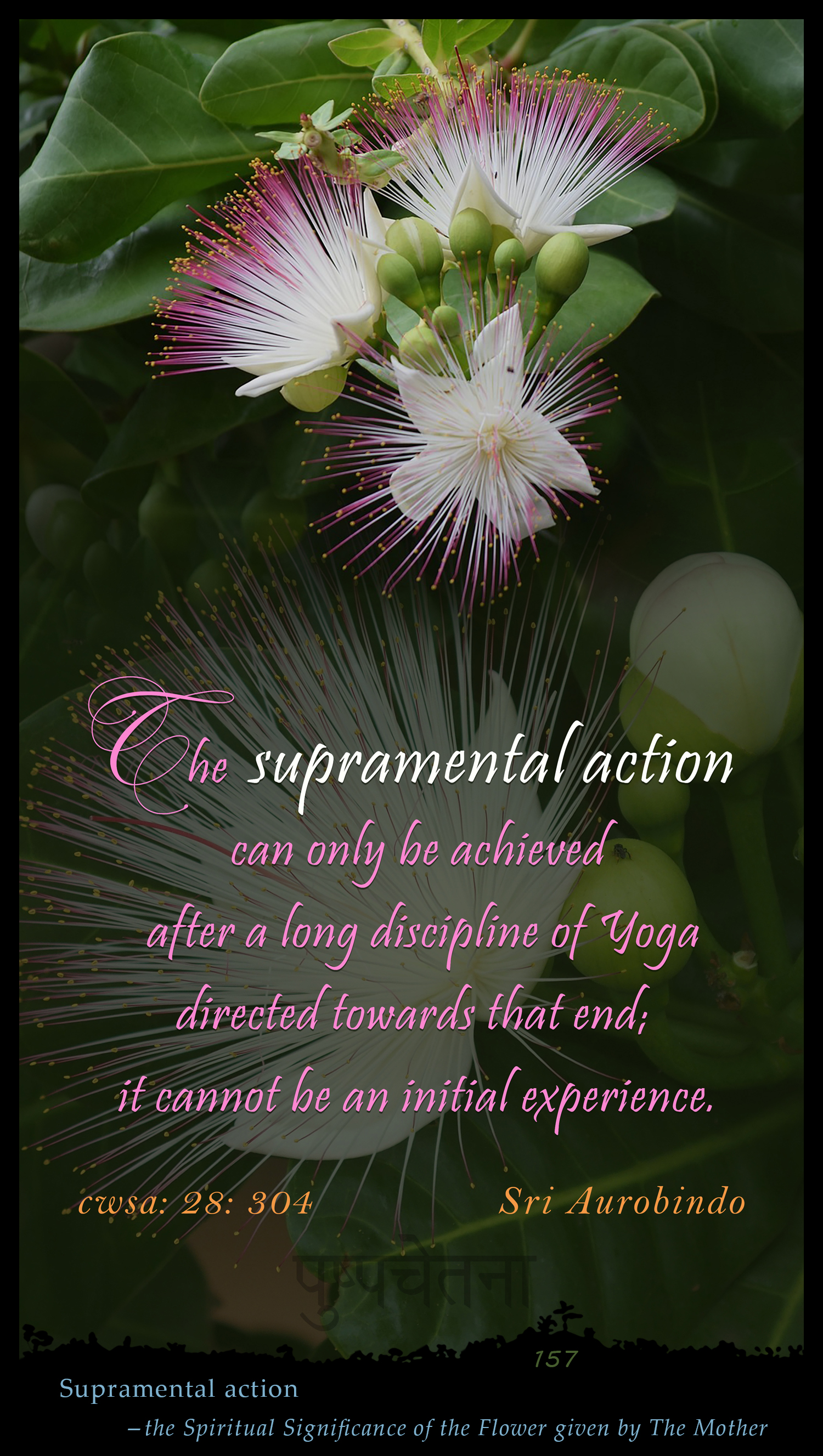 Supramental Action